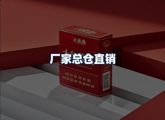 专业团队办公环境